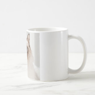 tasse cadeau