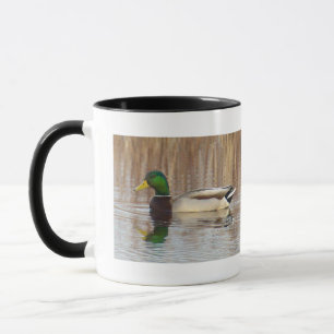 Tasse Canards Colverts
