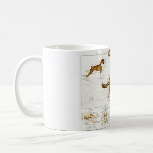 Tasse canine d'anatomie (Gauche)