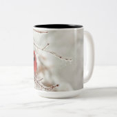 Tasse cardinale (Devant droit)