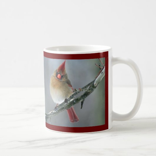 Tasse cardinale du nord (Droite)