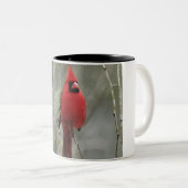 Tasse cardinale magnifique de photo (Devant droit)