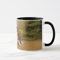 Tasse cavalière d'épagneul du Roi Charles