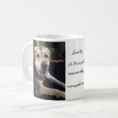 Tasse chanceuse de Nowzad (Devant gauche)
