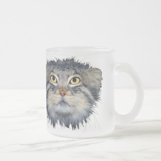 tasse - chat de pallas (Droit)