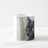 Tasse chat gris (Centre)