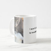 Tasse Chat, Plaisir de la Maternité, Tasse Drôle (Devant gauche)