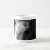 Tasse chevaline !