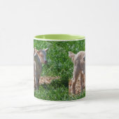 Tasse Chevreaux Chèvre Naine (Centre)