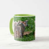 Tasse Chevreaux Chèvre Naine (Devant gauche)