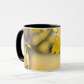 Tasse Combo (Devant gauche)