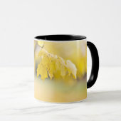 Tasse Combo (Devant droit)