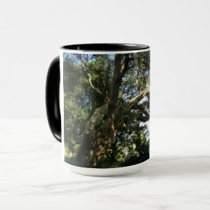 Tasse Combo Photo de Vieil Arbre Sonnerie
