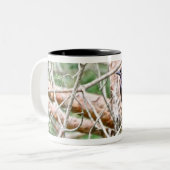 Tasse commune de Grackle (Devant gauche)