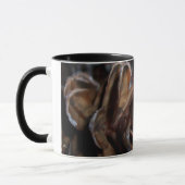 Tasse Cône de Pin givré (Gauche)
