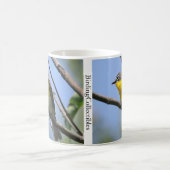 Tasse Conversation à poitrine jaune par BirdingCol (Centre)