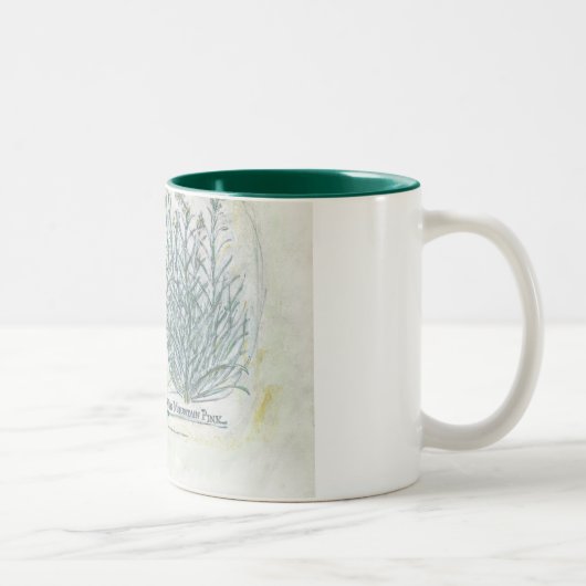 tasse - copie botanique de deux tons (Droit)
