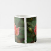 Tasse Corail Rose (Centre)