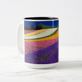 tasse couleur (Devant gauche)