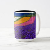tasse couleur (Devant droit)
