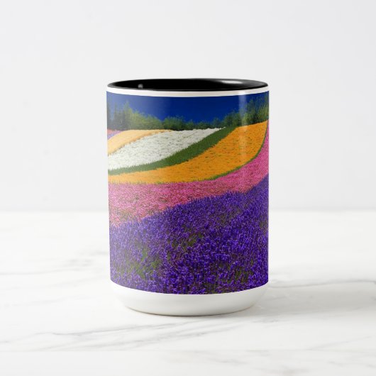 tasse couleur (Centre)