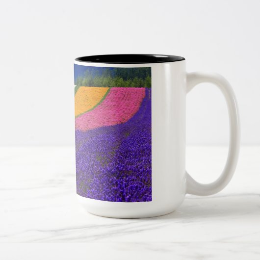 tasse couleur (Droit)