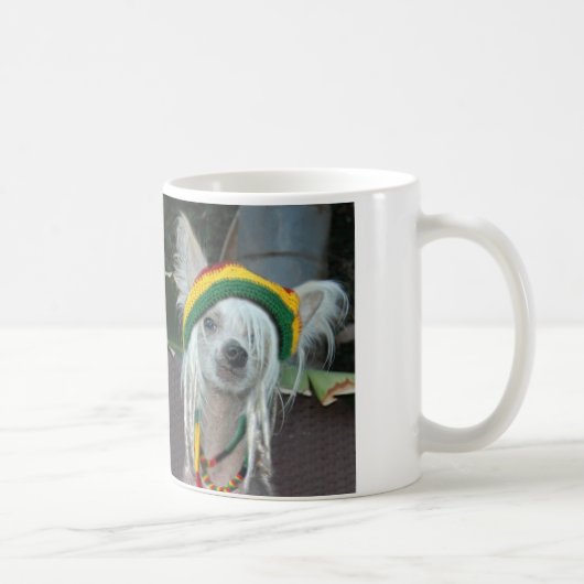 Tasse crêtée chinoise de chien de Rasta (Droite)
