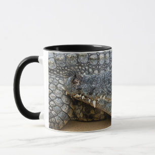 Tasse Crocodiles