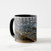Tasse Crocodiles (Devant gauche)