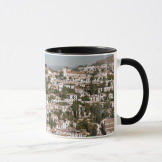Tasse d'Albaycin Grenade