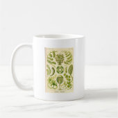 Tasse d'algues vertes (Gauche)