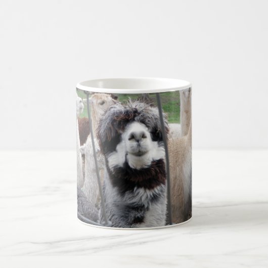 Tasse d'alpaga :) (Centre)