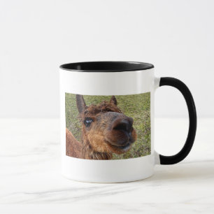 Tasse d'alpaga
