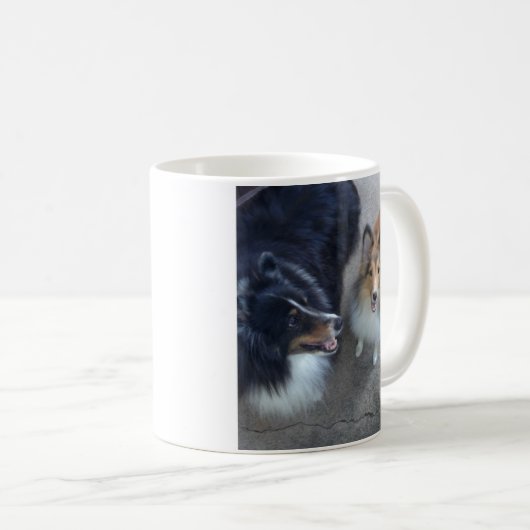 Tasse d'amis de Sheltie (Devant droit)