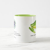 Tasse d'AmphibiaWeb Centrolene (Centre)