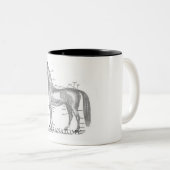 Tasse d'anatomie de baies (Devant droit)