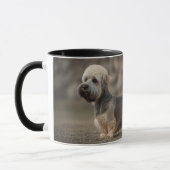 Tasse Dandie Dinmont Terrier (Gauche)