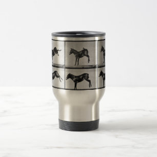 Tasse d'âne