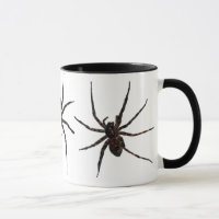 Tasse d'araignée de loup
