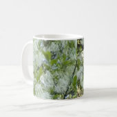 Tasse d'arbre de Graybeard d'ancêtre (Devant gauche)