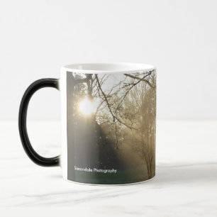 Tasse "d'arbres antiques ensoleillés"