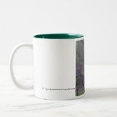 Tasse d'arbres de C.C (Gauche)