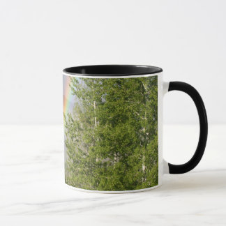 Tasse d'arc-en-ciel