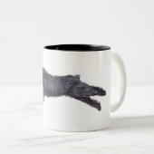 Tasse d'art de chien de DES Flandres de Bouvier (Devant droit)