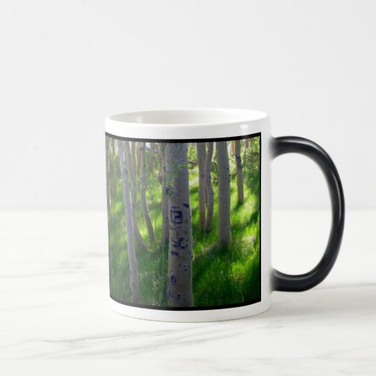 Tasse d'Aspen (Droite)