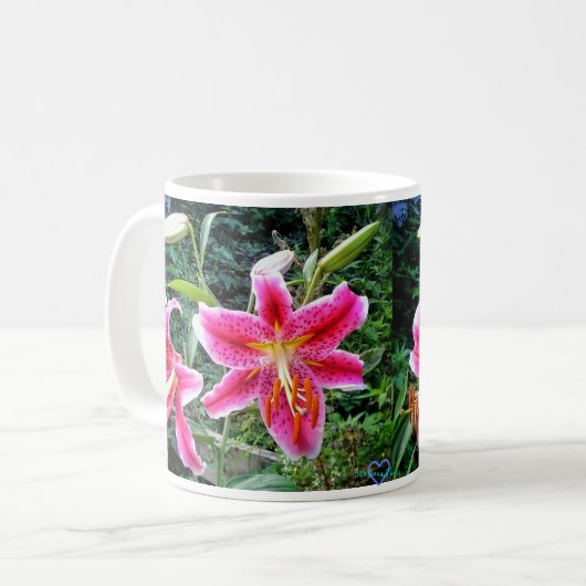 TASSE D'ASTRONOMES (Devant gauche)