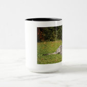 Tasse d'Augie (Centre)