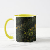 Tasse d'automne de forêt de pins aérienne (Gauche)