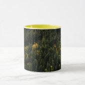 Tasse d'automne de forêt de pins aérienne (Centre)