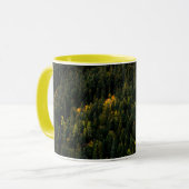 Tasse d'automne de forêt de pins aérienne (Devant gauche)